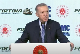 Эрдоган: Турция нацелена на минимизацию зависимости от импорта вооружений