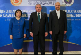 Спикеры парламентов Турции, Азербайджана и Ирана встретились в Анталье