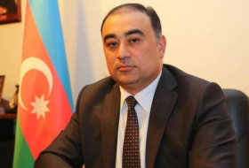 Посол: В Турцию прибудет самолет с гумпомощью от Фонда Гейдара Алиева