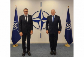 Представитель Азербайджана в НАТО встретился с заместителем Столтенберга