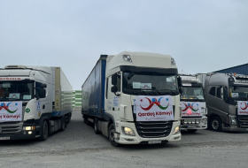 Посол: Из Азербайджана в Турцию отправлены еще 20 грузовиков с гумпомощью