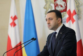 Гарибашвили: «Власти Украины пытаются втянуть Грузию в конфликт с Россией»