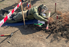 В воинских частях Азербайджана проводится обучение минно-розыскным операциям