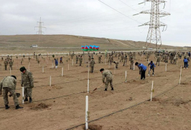 В Aербайджанской армии проведены акции по посадке деревьев