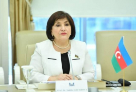 Спикер ММ: Провокация Армении показывает необходимость безоговорочного выполнения трехстороннего заявления