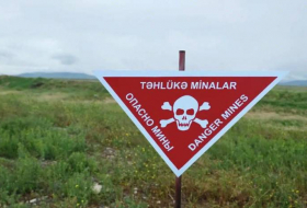 ANAMA: В прошлом месяце на освобожденных территориях было обнаружено 926 мин
