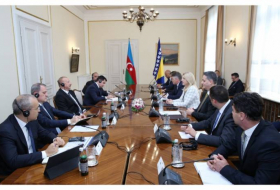 В Сараево началась встреча Президента Азербайджана с председателем Президиума Боснии и Герцеговины в расширенном составе