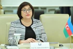 Сахиба Гафарова: Армения намеренно нагнетает ситуацию в регионе