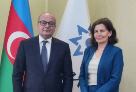 Посол Франции обсудила с председателем АНАМА разминирование территорий