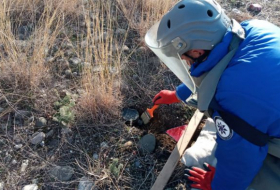В прошлом месяце на освобожденных территориях было обнаружено еще 562 мины
