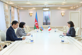 Сахиба Гафарова сообщила послу Франции о предвзятом отношении к Азербайджану