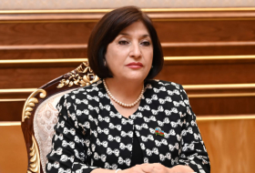 Спикер ММ: Главной целью провокации Армении было препятствование мирным переговорам