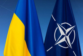 Украину официально приняли в Центр НАТО по кибербезопасности