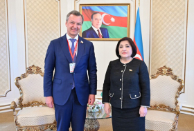 Сахиба Гафарова встретилась с первым заместителем председателя Совфеда Федерального собрания РФ