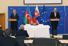 Азербайджан и Словакия желают расширить сотрудничество в сфере разминирования