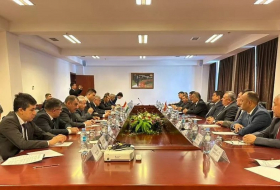 Главы МИД Таджикистана и Кыргызстана обсудили приграничный вопрос