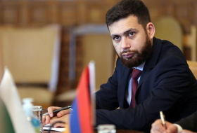 Замглавы МИД Армении обсудил с главой подкомитета ЕС нормализацию связей с Анкарой и Баку