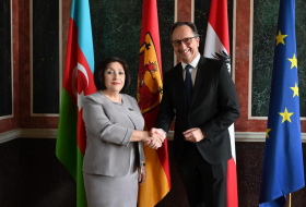 Сахиба Гафарова встретилась с главой Федерального совета парламента Австрии