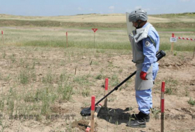 В Карабахе от мин очищено 18,1% территории