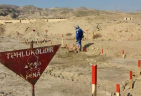 ANAMA: На освобожденных территориях обнаружены еще 43 мины