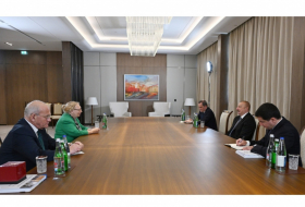 Президент Ильхам Алиев принял гендиректора Женевского офиса ООН