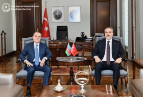 Началась встреча один на один глав МИД Азербайджана и Турции