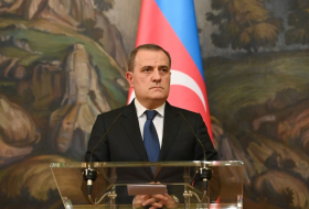 Глава МИД: Военное сотрудничество между Азербайджаном и Турцией углубляется