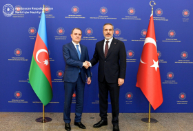 Главы МИД Азербайджана и Турции осудили посягательства на Коран