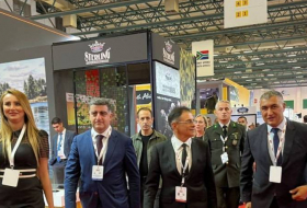 Мадат Гулиев посетил Международную выставку оборонной промышленности IDEF-23