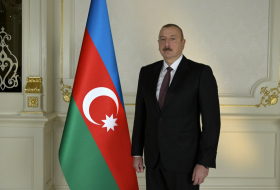 Ильхам Алиев: «День демократии и национального единства» останется великим славным днем в истории турецкой государственности