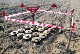 За последнюю неделю на освобожденных территориях было обнаружено 224 мины