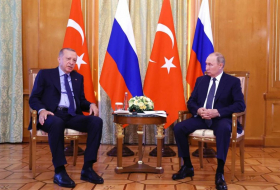 Встреча Путина и Эрдогана может состояться 31 августа
