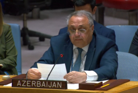 Яшар Алиев: Азербайджан проводит политику реинтеграции этнических армян Карабаха
