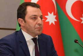 Замглавы МИД: Азербайджан представил свои замечания в Международный суд 