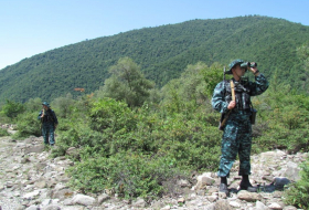 ГПС Азербайджана назвала число задержанных нарушителей границы