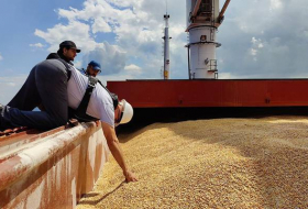 Россия считает альтернативой зерновой сделке обработку 1 млн тонн зерна в Турции