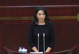 Омбудсмен Азербайджана прокомментировала очередной минный террор Армении