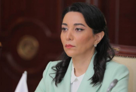Сабина Алиева: Работа в связи с положением наших граждан, находящихся в Армении в плену, продолжается