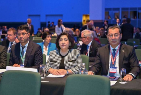 Сахиба Гафарова приняла участие в церемонии открытия Европейской конференции спикеров парламентов