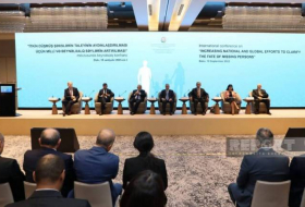 В Баку проходит международная конференция, посвященная пропавшим без вести