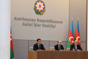 Помощник президента: Мирное соглашение было инициативой Азербайджана