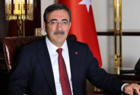 Вице-президент Турции: Флаг Азербайджана будет развеваться по всему Карабаху