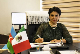 Посол: Азербайджан и Мексика плодотворно сотрудничают в рамках международных организаций 