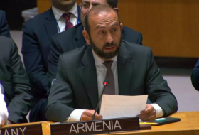 Российский политолог: «Это тактика армян, заявлять о том, что их уничтожают, хотя это не так»