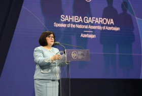 Сахиба Гафарова рассказала в Будапеште о разрушительном воздействии армянской оккупации на жизнь азербайджанских семей