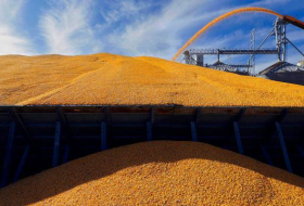 В Турции раскрыли предложения ООН по возобновлению зерновой сделки
