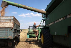 Украина и Словакия договорились создать систему лицензирования поставок зерна