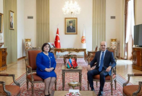 Спикер парламента Турции: Лоббисты продолжают попытки бросить тень на справедливую борьбу Азербайджана