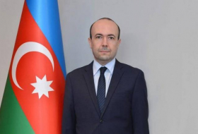 Фариз Рзаев рассказал на конференции в Хорватии о минной проблеме Азербайджана