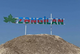 Сегодня - День города Зангилан
